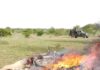 Troops repel bandits’ attack, destroy camps in North-West operations