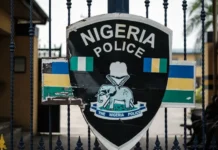 Police rescue woman, child, eight others from kidnappers’ den in Bauchi