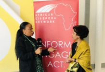 Beyond Remittances: How the African Diaspora is Transforming the Continent Through Investment and Innovation